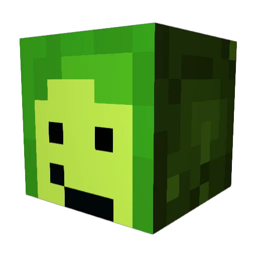 Furiousrapier Minecraft avatar head, 3D render