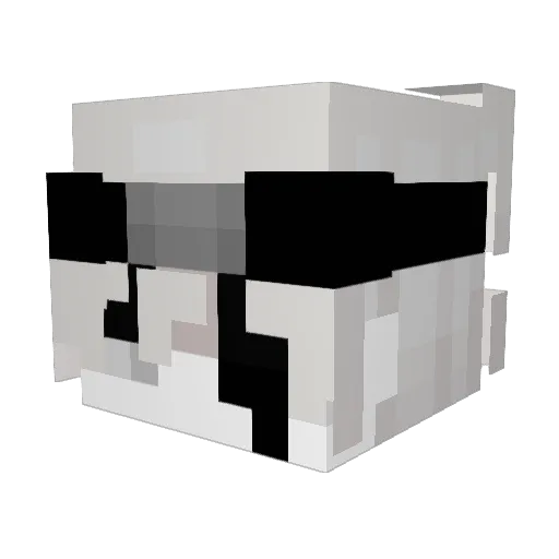 Furiouzbw Minecraft avatar head, 3D render