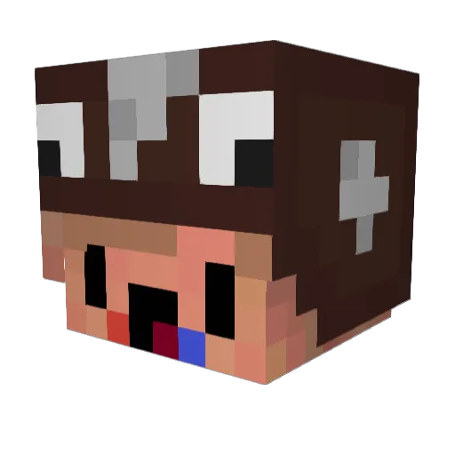 FurkanAllen Minecraft avatar head, 3D render