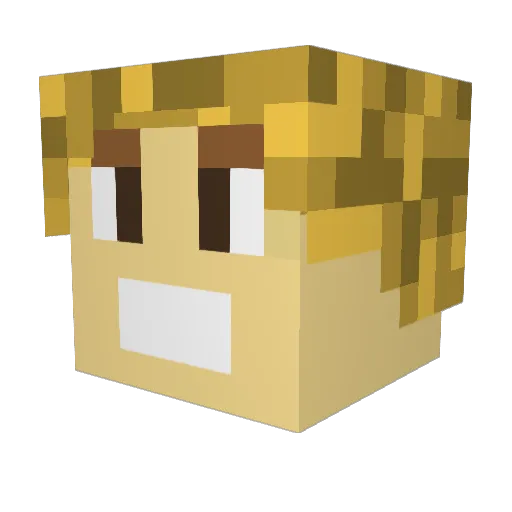 FurkanTRYT Minecraft avatar head, 3D render