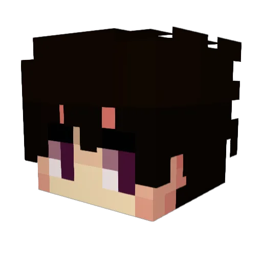 Furman98 Minecraft avatar head, 3D render