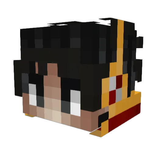 Furp479 Minecraft avatar head, 3D render