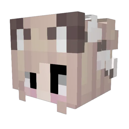 Furriest_ Minecraft avatar head, 3D render