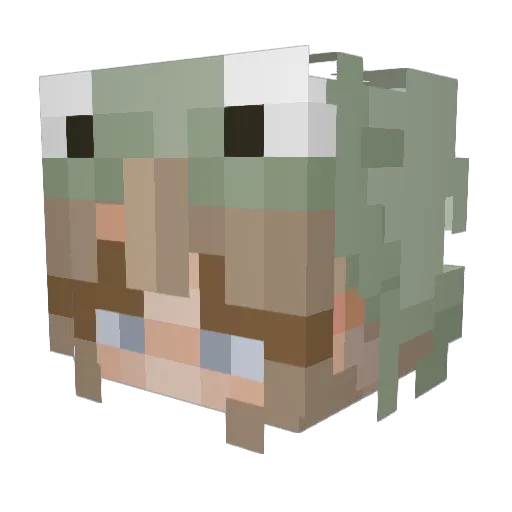 FurryFrog46 Minecraft avatar head, 3D render
