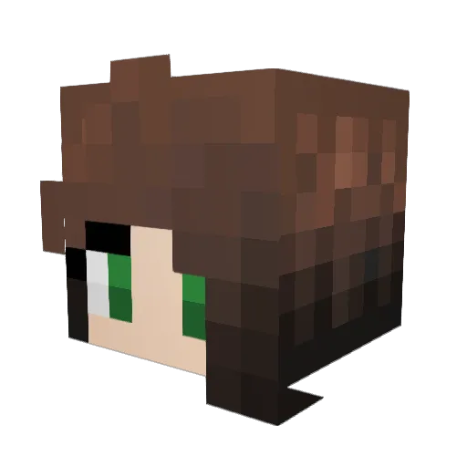 FurryFunTime Minecraft avatar head, 3D render