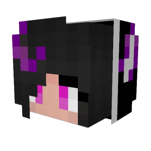 Furrywolf45 Minecraft avatar head, 3D render