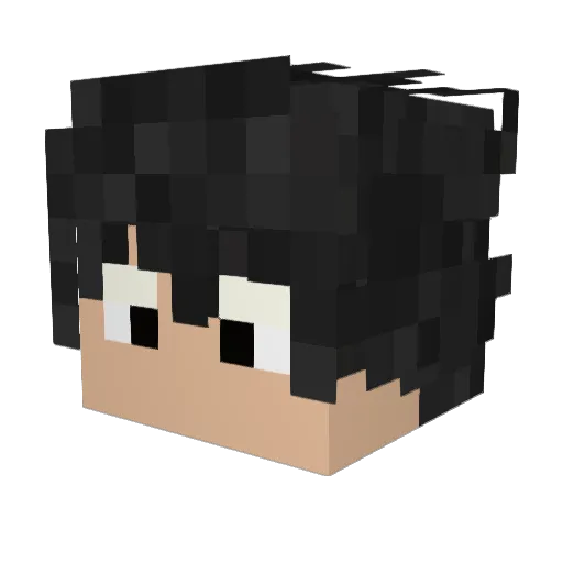 Fury700 Minecraft avatar head, 3D render