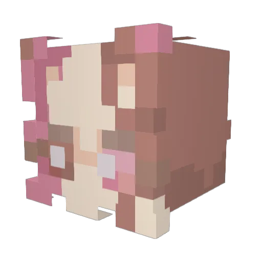 FuryFuturama Minecraft avatar head, 3D render