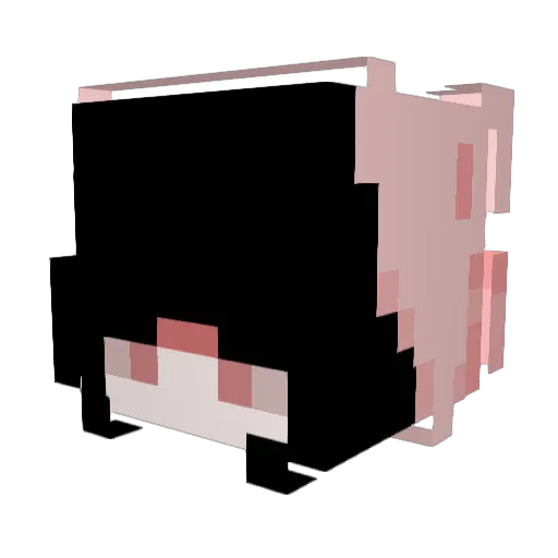 FuryGamer99 Minecraft avatar head, 3D render