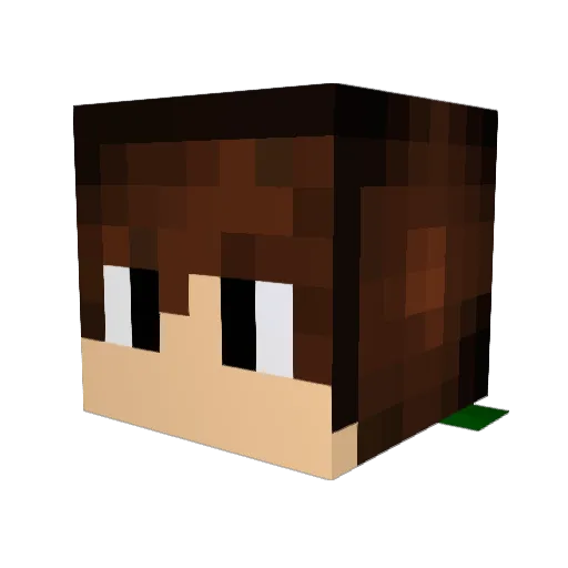 FuryMC_YT Minecraft avatar head, 3D render