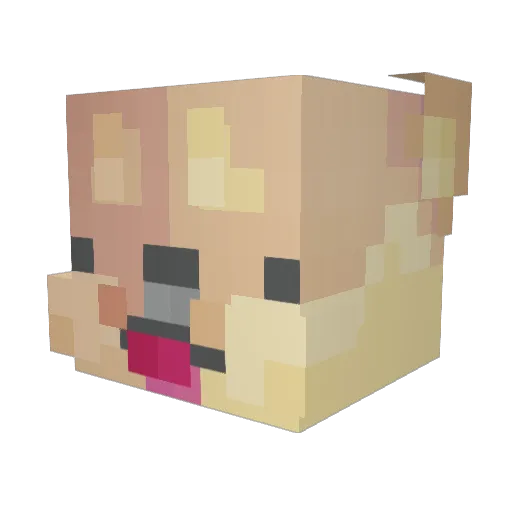 Furyous10 Minecraft avatar head, 3D render