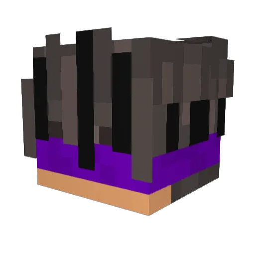 FuryousXD Minecraft avatar head, 3D render