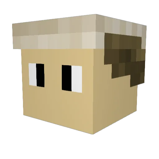 Furzheimer Minecraft avatar head, 3D render