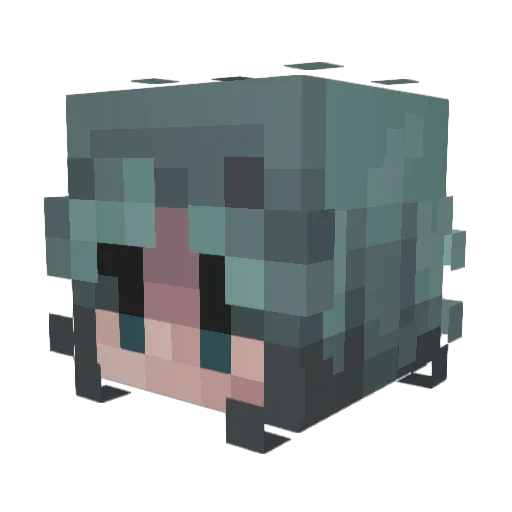 Fuscat12 Minecraft avatar head, 3D render