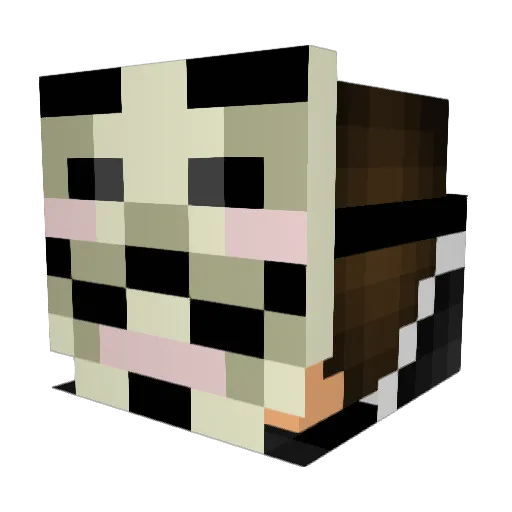 Fuschlpaul Minecraft avatar head, 3D render