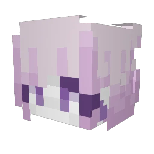 FusedLegacy Minecraft avatar head, 3D render