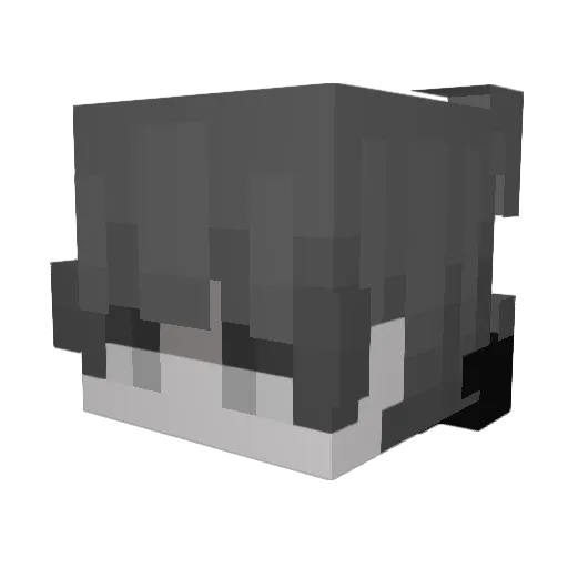 FuserrMC Minecraft avatar head, 3D render