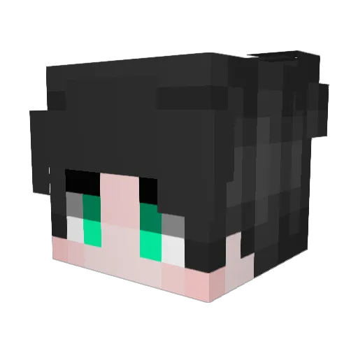 Fusheng_awa Minecraft avatar head, 3D render