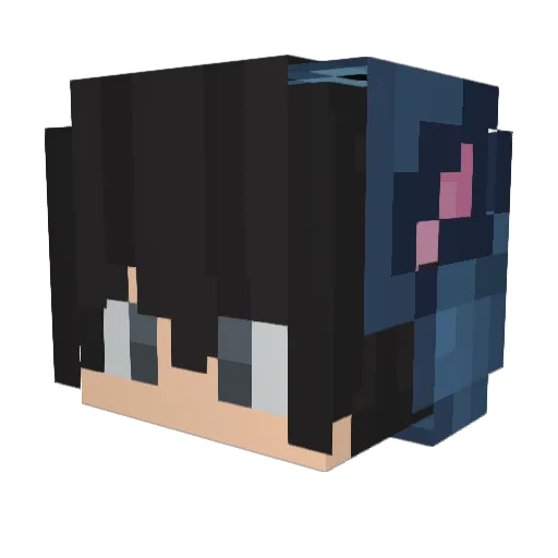 Fushka_Fan Minecraft avatar head, 3D render