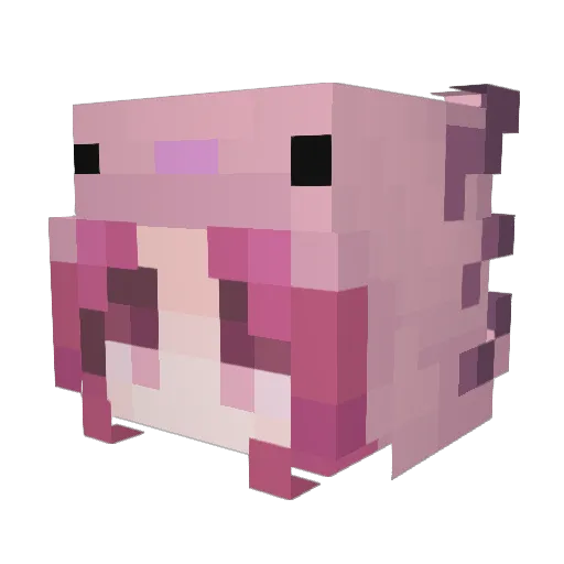 FusiTheWaifu Minecraft avatar head, 3D render