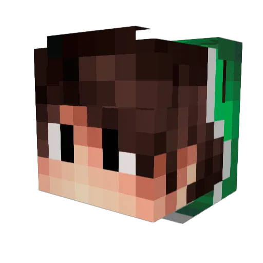 Fusie Minecraft avatar head, 3D render