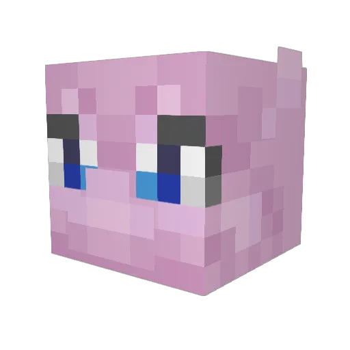 Fusilaut Minecraft avatar head, 3D render