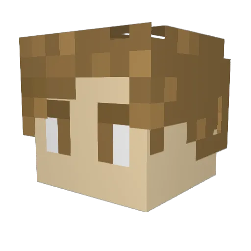 Fusiobane Minecraft avatar head, 3D render