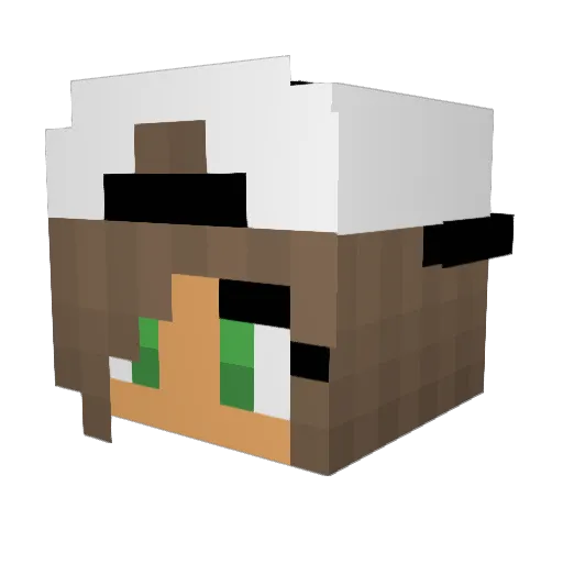 Fusion1042 Minecraft avatar head, 3D render