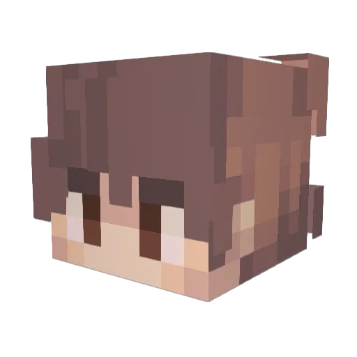 FusionAura Minecraft avatar head, 3D render