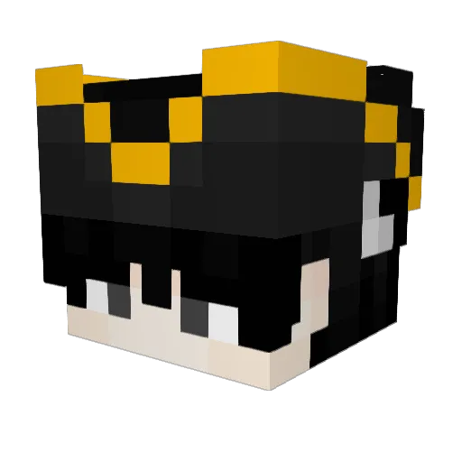FusionISFusion Minecraft avatar head, 3D render