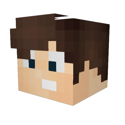 FusionNyan Minecraft avatar head, 3D render