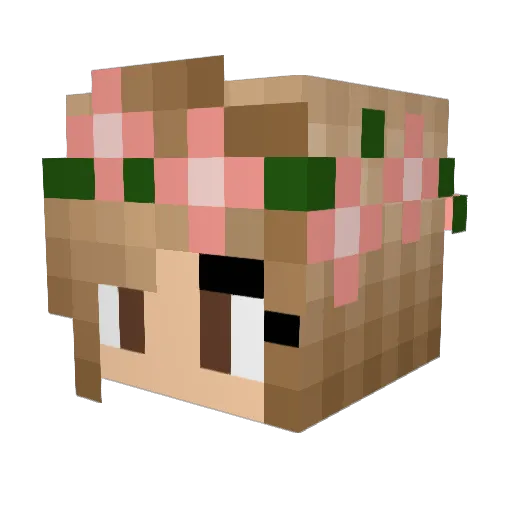 Fussel42 Minecraft avatar head, 3D render