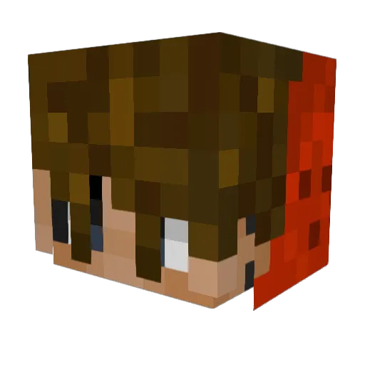 Fusyyy_ Minecraft avatar head, 3D render