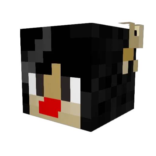 Futaboys Minecraft avatar head, 3D render