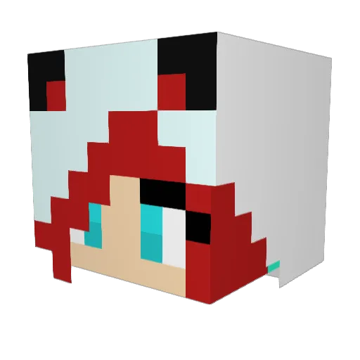 Futch Minecraft avatar head, 3D render