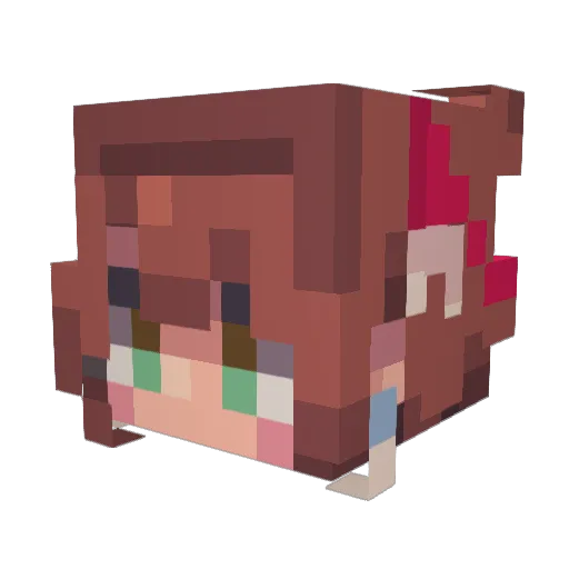 FutureCorpsee66 Minecraft avatar head, 3D render