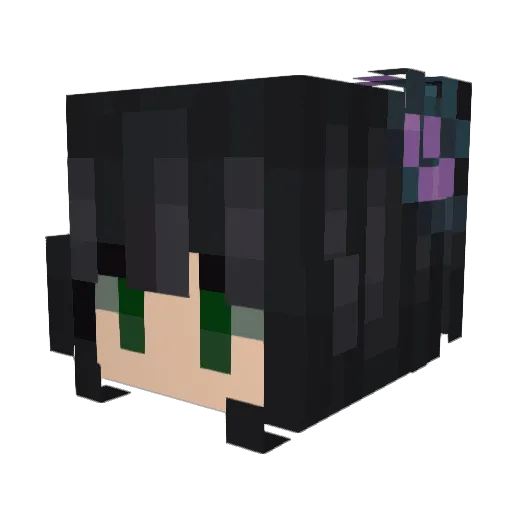 FutureEmploy22 Minecraft avatar head, 3D render