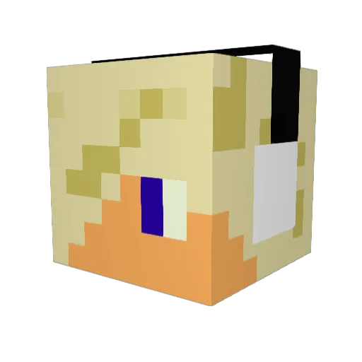 FuturePwnage Minecraft avatar head, 3D render