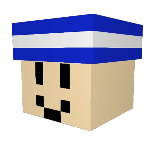 Futurechicky Minecraft avatar head, 3D render