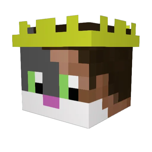 Futurelight Minecraft avatar head, 3D render