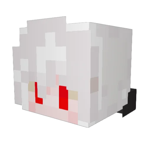 Fuuu07 Minecraft avatar head, 3D render