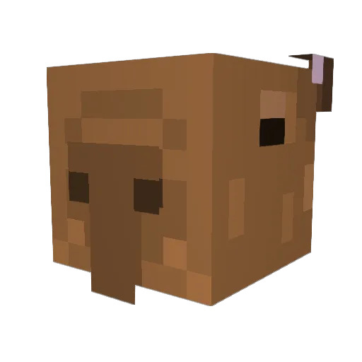 Fuwugo Minecraft avatar head, 3D render