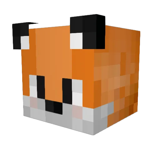 FuxBrudii Minecraft avatar head, 3D render