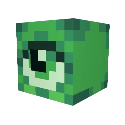 Fuyl Minecraft avatar head, 3D render