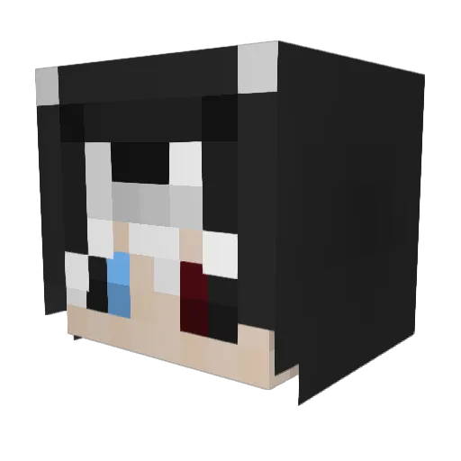 Fuyucan Minecraft avatar head, 3D render
