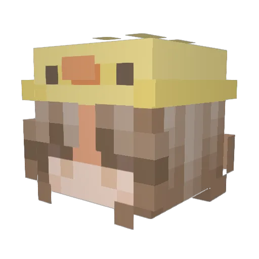 Fuzedelahess Minecraft avatar head, 3D render
