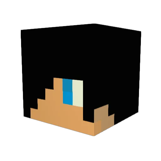 Fuzi3001 Minecraft avatar head, 3D render