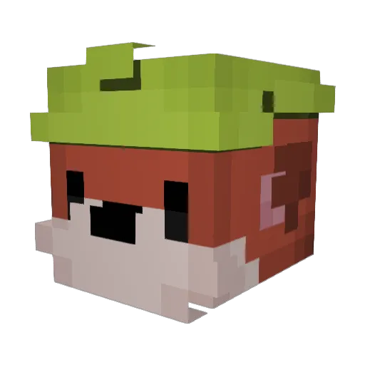 Fuzifu Minecraft avatar head, 3D render