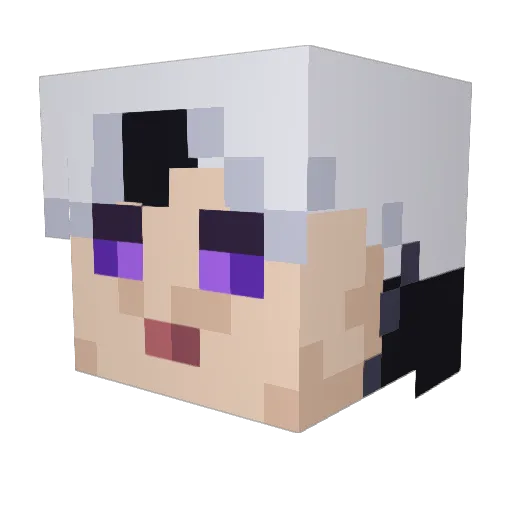 Fuzion93 Minecraft avatar head, 3D render