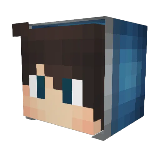FuzionElixer Minecraft avatar head, 3D render